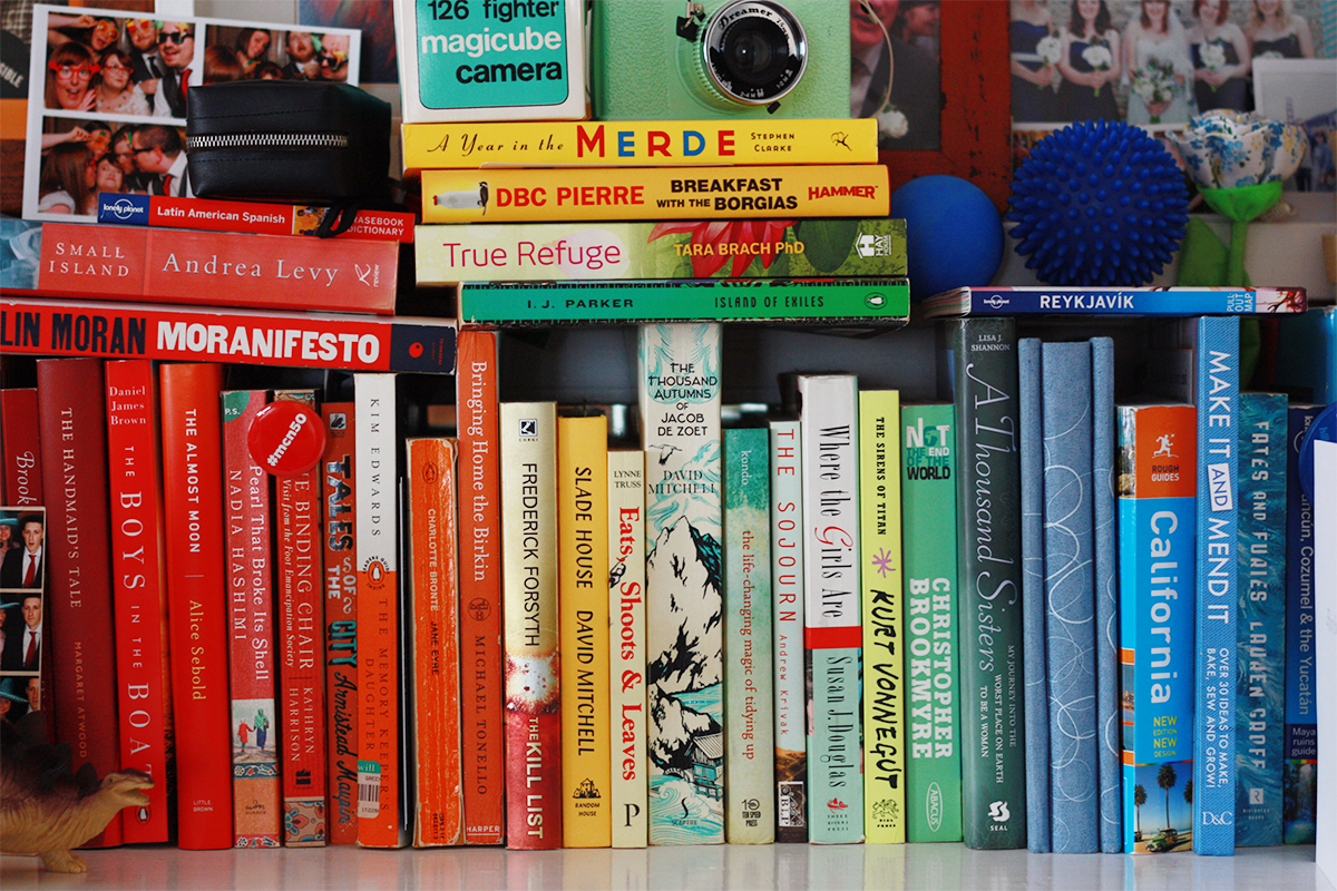 Colour coded bookshelf